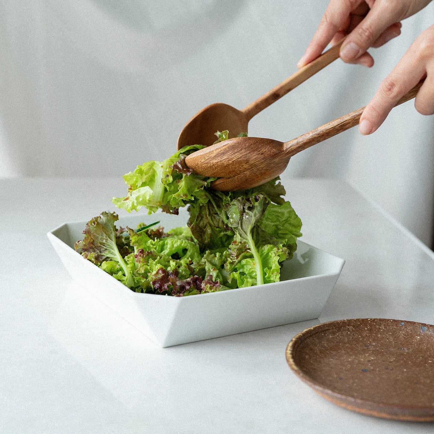 アカシア|サービングスプーン|スプーン