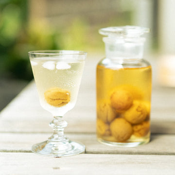 小泉硝子製作所｜ガラス漬け瓶｜500ml – SIROMONO 調度品店