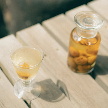 180845173_imgScene05.webp?v=