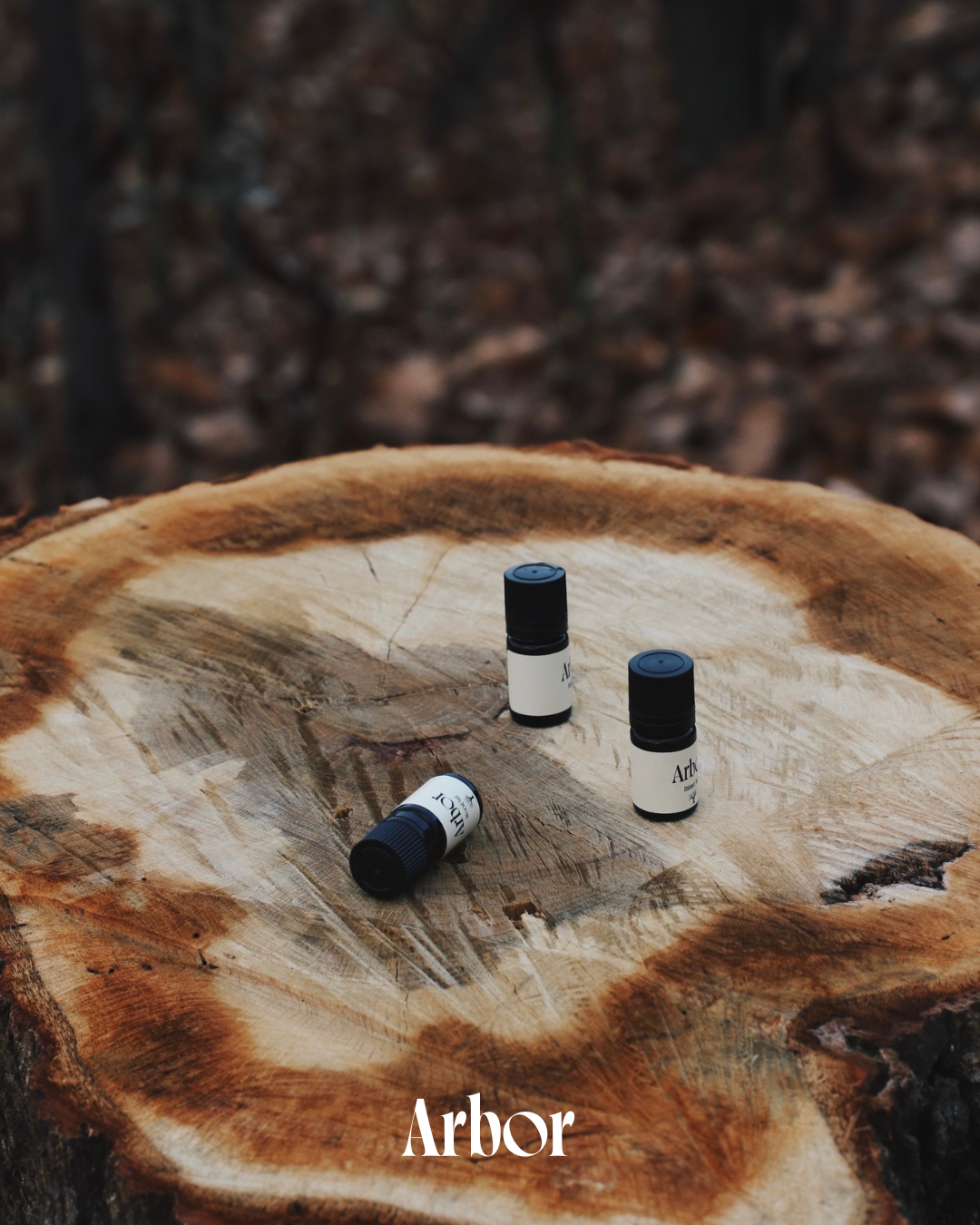 Arbor｜Aroma Oil｜Entrance