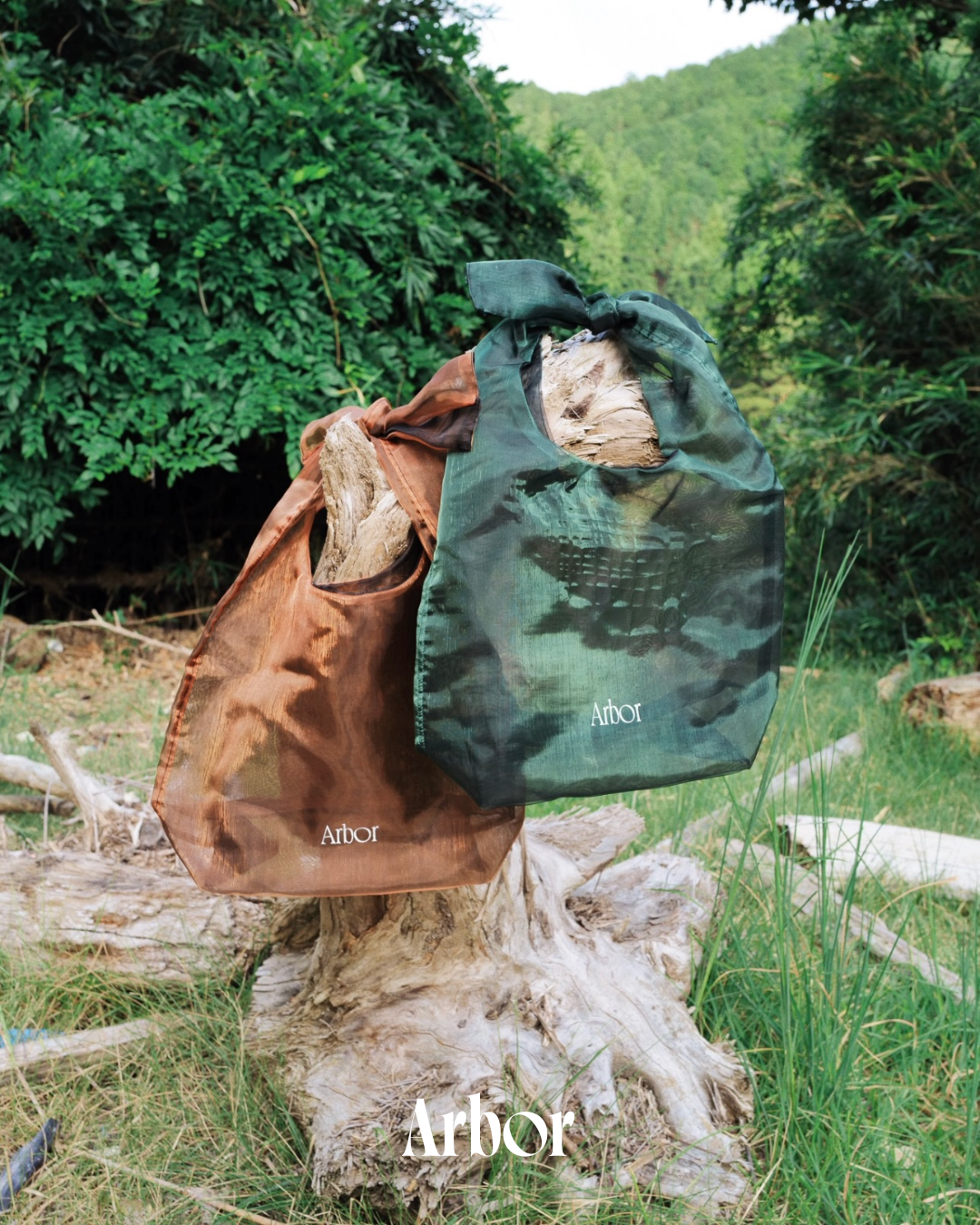 Arbor｜Sheer Bag
